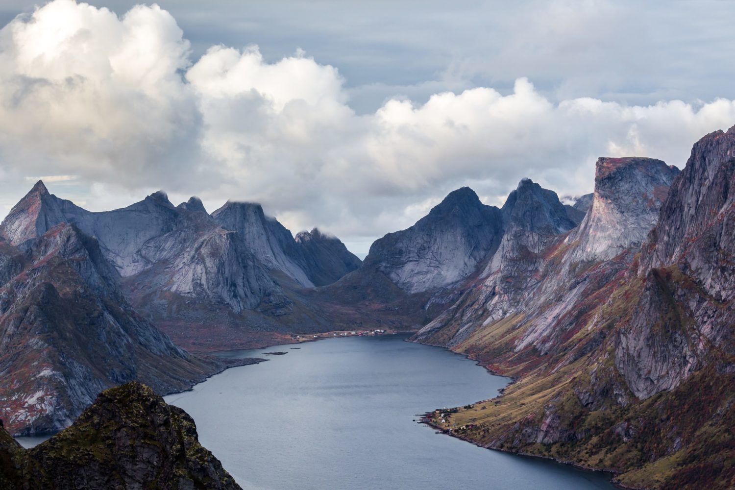 ferdinand stohr W1FIkdPAB7E unsplash scaled e1642770365488